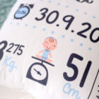 cojin_nacimiento_th2