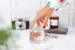 Bola de nieve personalizada con purpurina dorada